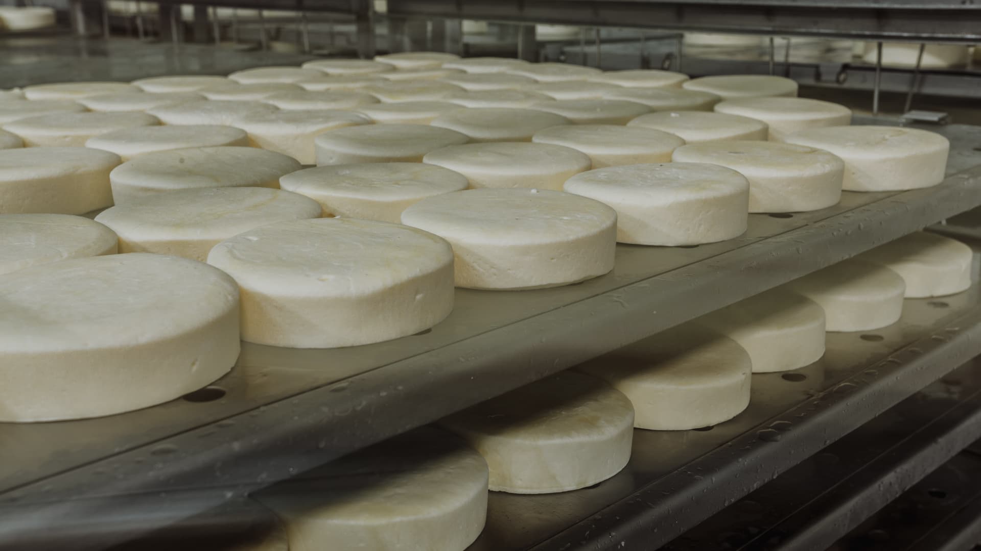 производство сыра